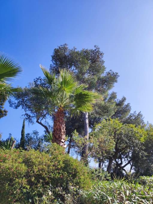 Villa La Californienne Carqueiranne Esterno foto