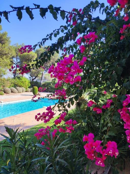 Villa La Californienne Carqueiranne Esterno foto