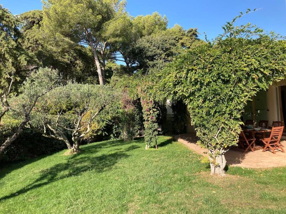 Villa La Californienne Carqueiranne Esterno foto