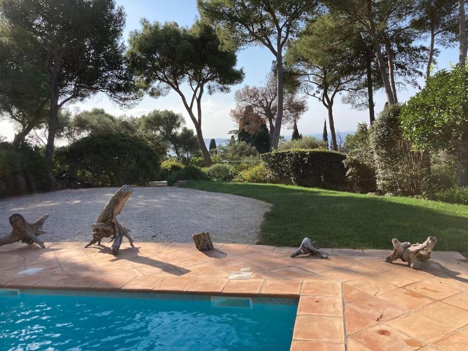 Villa La Californienne Carqueiranne Esterno foto