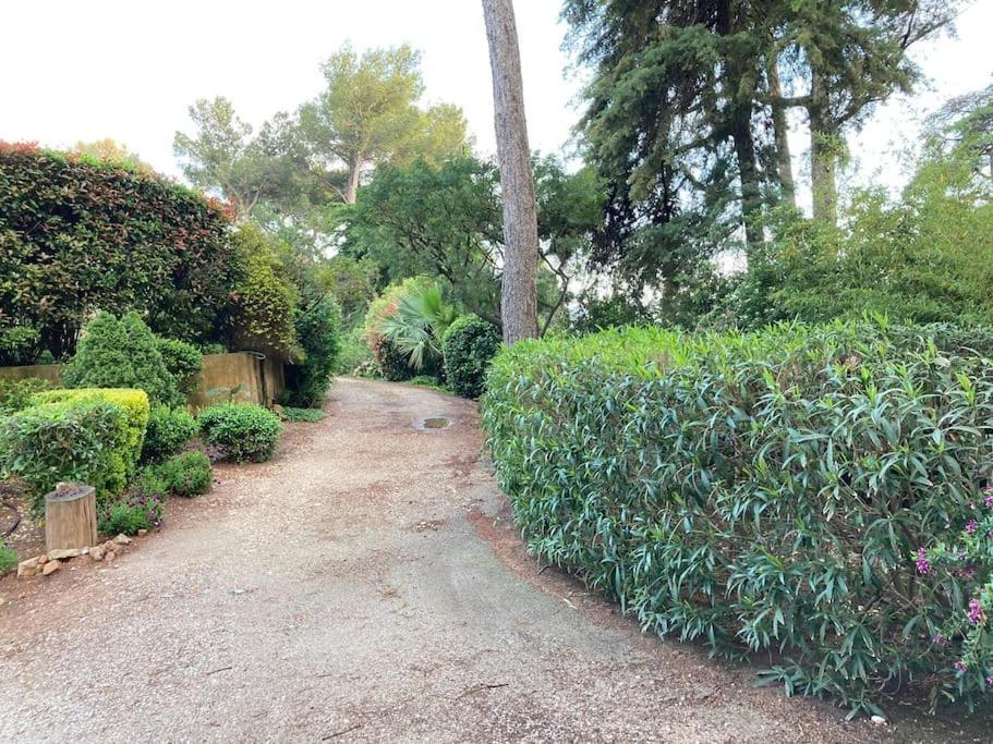 Villa La Californienne Carqueiranne Esterno foto